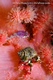 Huss_090624_0544.jpg