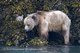 Huss_090628_1162.jpg