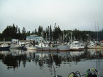 DSCF0002.JPG
