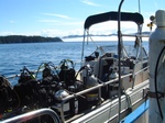 DSCF0009.JPG