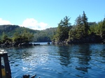 DSCF0010.JPG