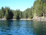 DSCF0011.JPG