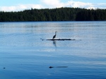 DSCF0013.JPG