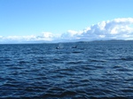 DSCF0022.JPG