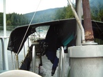 DSCF0061.JPG